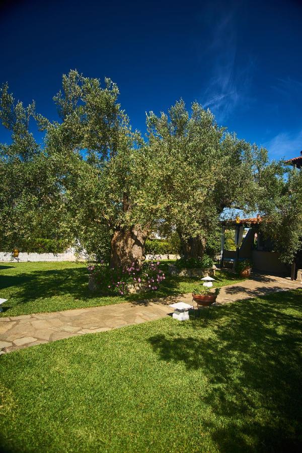 Villa The Cosy Olive Órmosz Panajász Kültér fotó