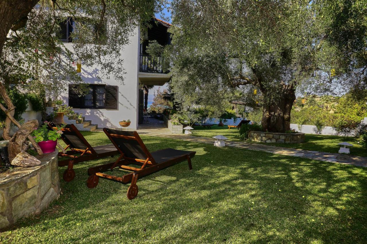 Villa The Cosy Olive Órmosz Panajász Kültér fotó