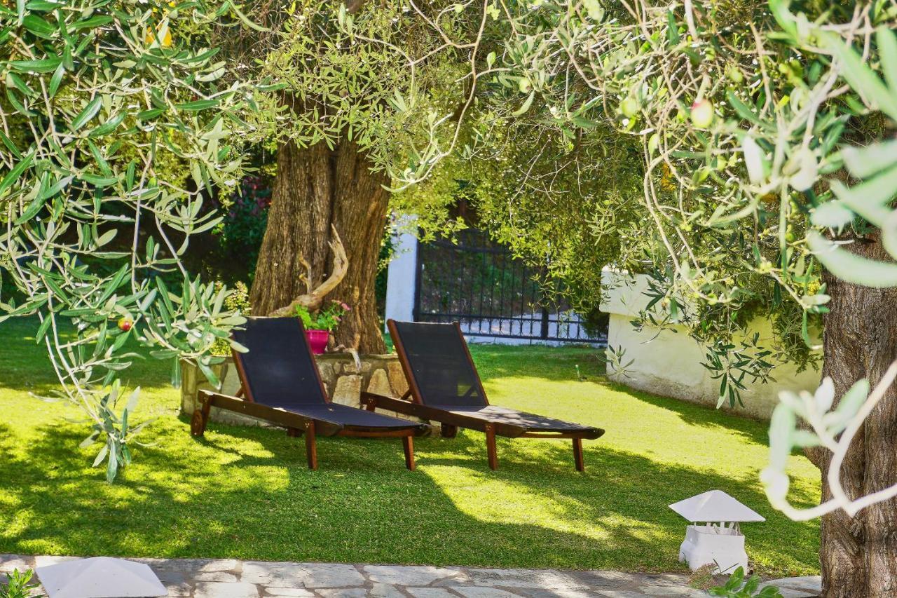 Villa The Cosy Olive Órmosz Panajász Kültér fotó
